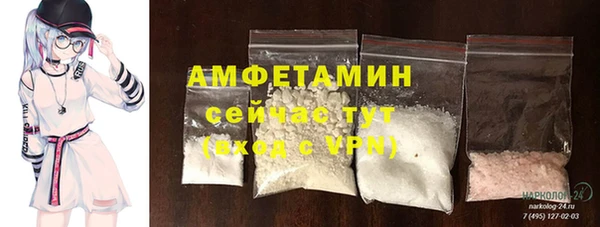 PSILOCYBIN Белокуриха