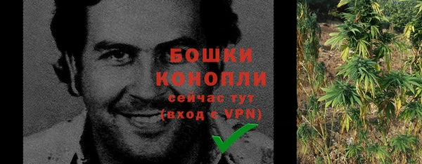PSILOCYBIN Белокуриха