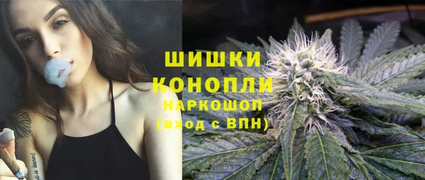 PSILOCYBIN Белокуриха