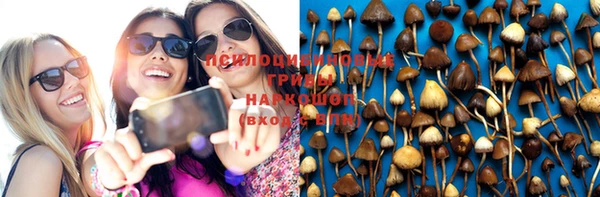 PSILOCYBIN Белокуриха