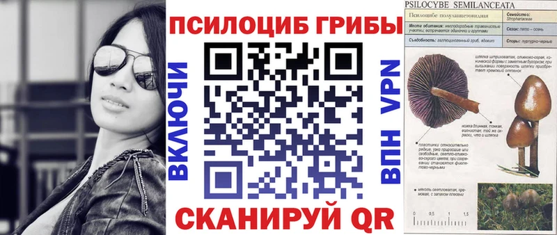 Псилоцибиновые грибы мухоморы купить наркотик Кукмор